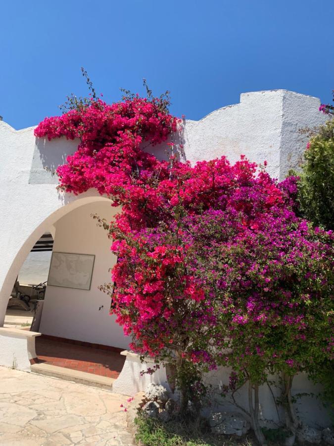 Villa Cecilia Polignano a Mare Bagian luar foto
